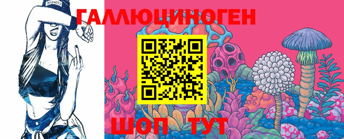 Псилоцибиновые грибы GOLDEN TEACHER  Галлюциногенные грибы GOLDEN TEACHER  Вход с VPN  Новочебоксарск 